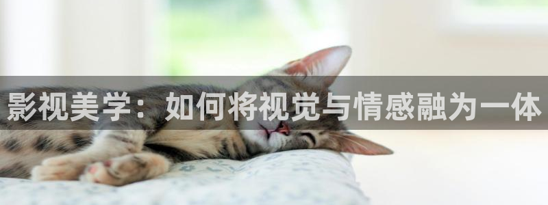 樱花免费在线电影