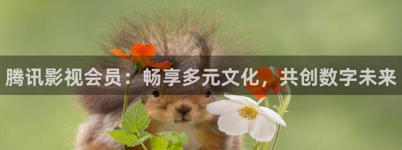 樱花校园电影院