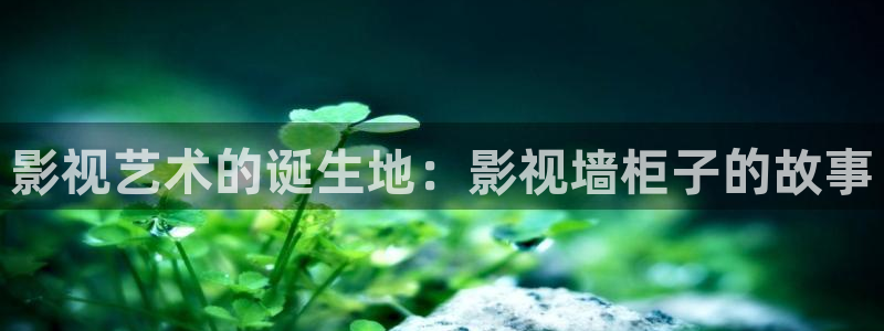樱花免费影视