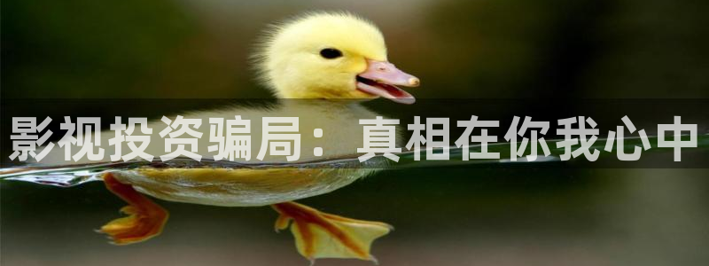 樱花影院免费观看电影