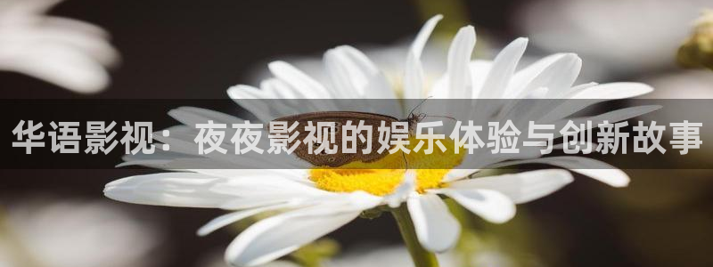 骑士影院樱花